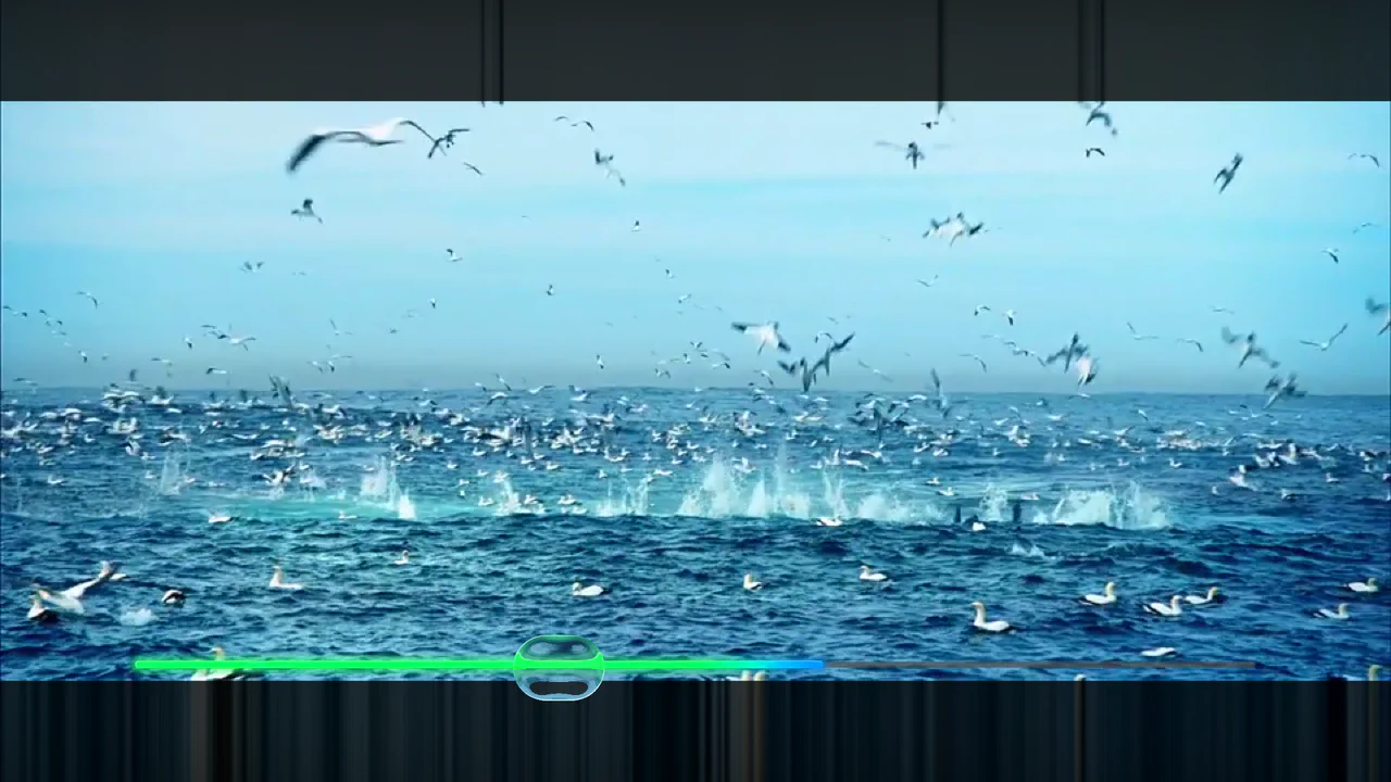 WebGL video player featuring a dynamic shader-driven refractive glass magnifier, an integrated cos-gradient rainbow progress bar, and play/pause controls.