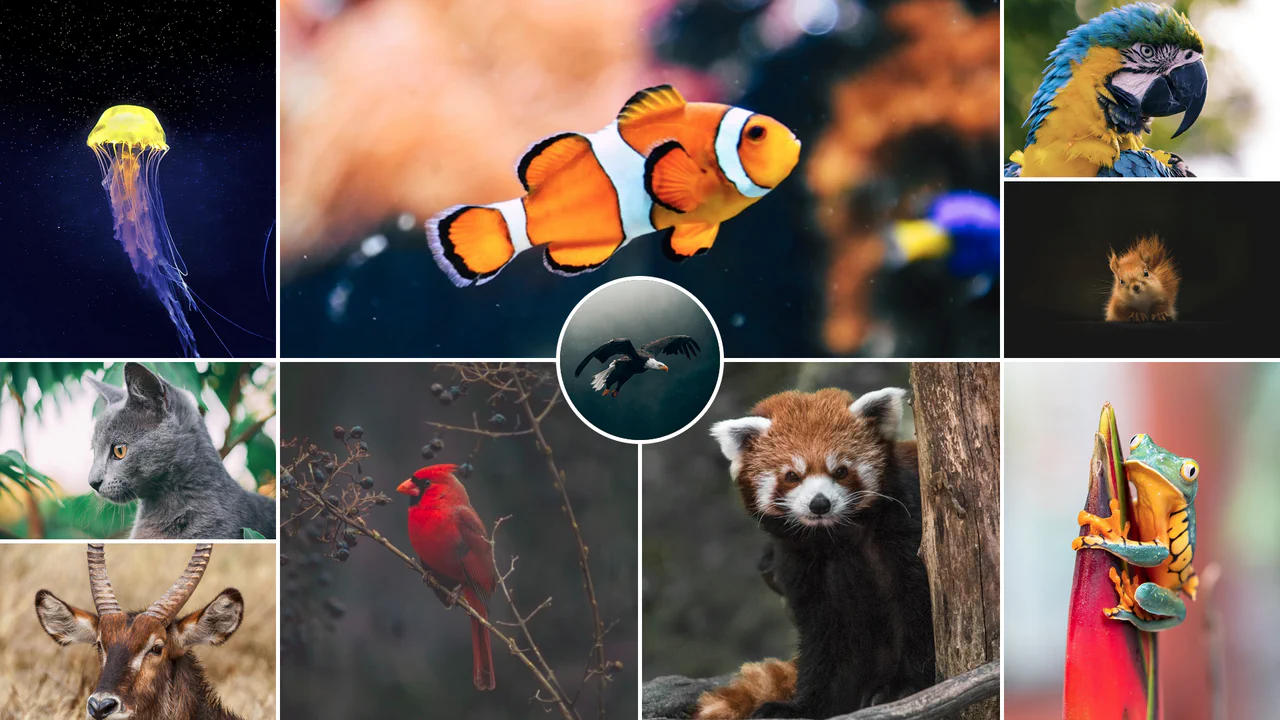 Responsive zero-JavaScript grid mosaic gallery featuring overlapping layouts, custom aspect ratios, and a central featured circular portrait.