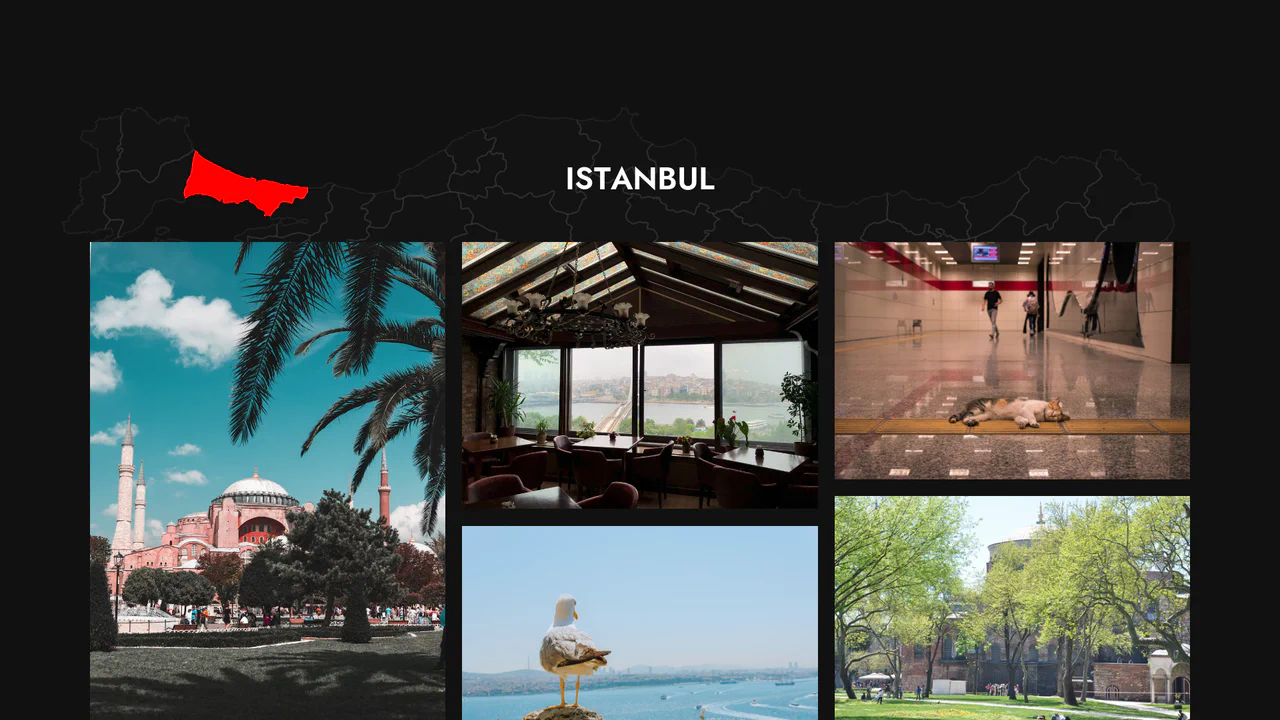 Interactive editorial travel presentation featuring a vector map that dynamically highlights Istanbul before revealing a staggered image gallery.